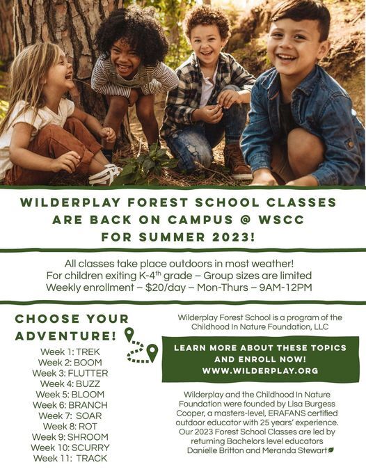 Wilderplay Forest School Summer Classes (June 12-August 31)