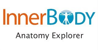 Inner Body Anatomy Explorer